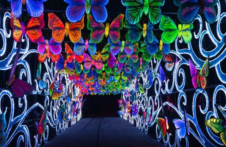 Don't miss it! Popular Asian Lantern Festival extended at Cleveland Zoo