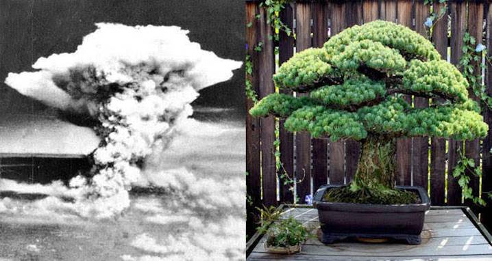 Atomic Bombings Of Hiroshima And Nagasaki: Inside The Nuclear Attacks On Japan
