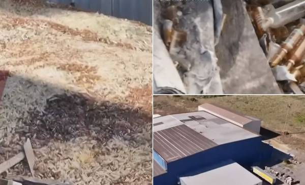 "Montañas de ampollas de fentanilo": la Justicia pidió que intervenga urgente Medio Ambiente