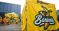 Downtown Denver goes bananas for Savannah Bananas weekend