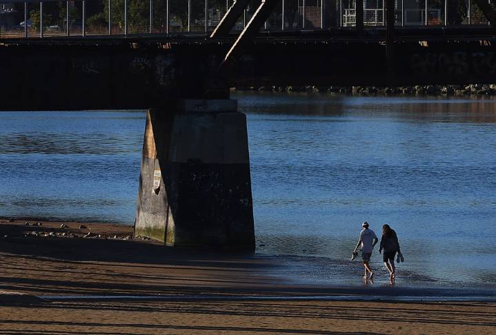 Photo | Under the San Lorenzo River Trestle Bridge in Santa Cruz