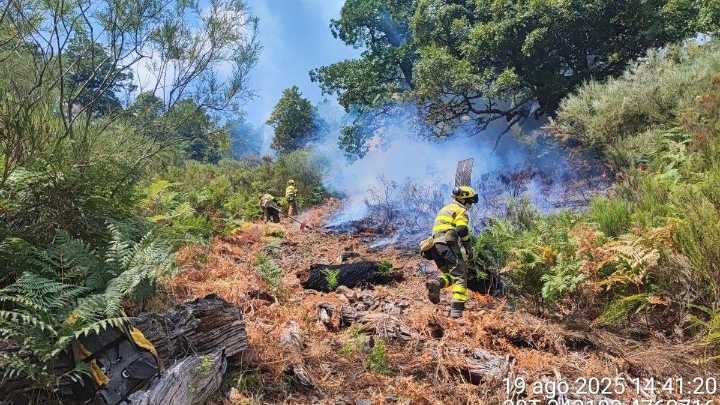 Los bomberos aragoneses en los incendios de León: "Estamos trabajando a mano porque las autobombas no pueden llegar"
