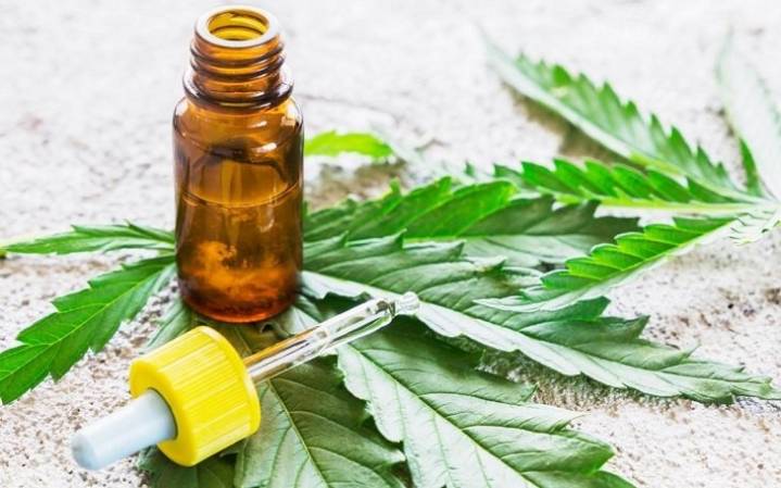 Salta: media sanción para la creación del Registro Provincial de Cannabis Medicinal