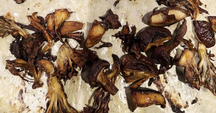 Gourmets & Good Eaters: Julia Child And Mushrooms