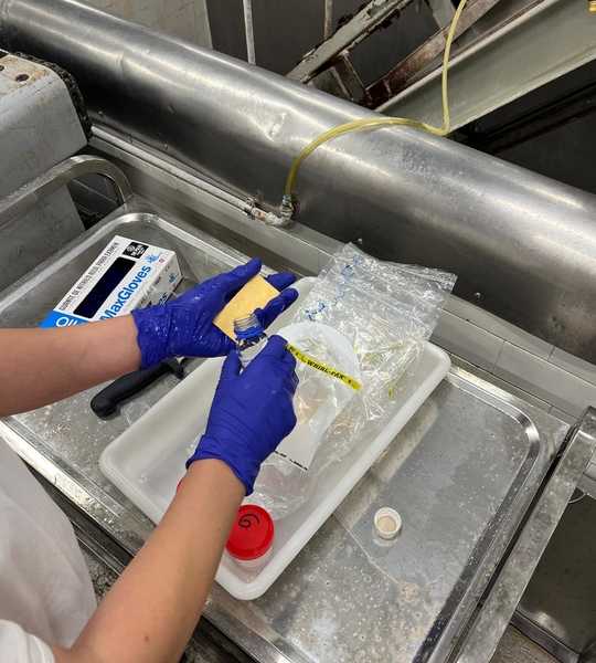 La Región de Murcia incrementó un 28% los controles para prevenir la salmonelosis y redujo casos en 2024