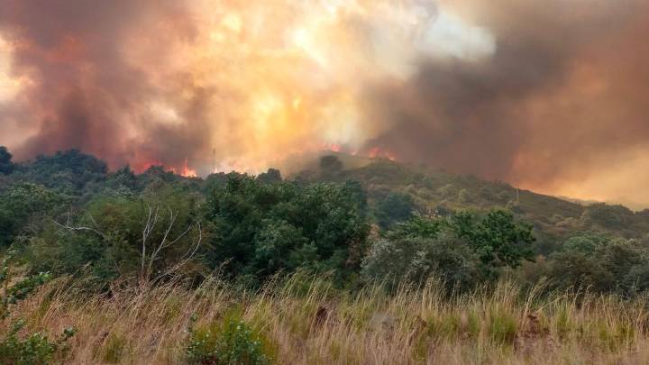 Activada la alerta de preemergencia en todo el país por el avance de los incendios forestales