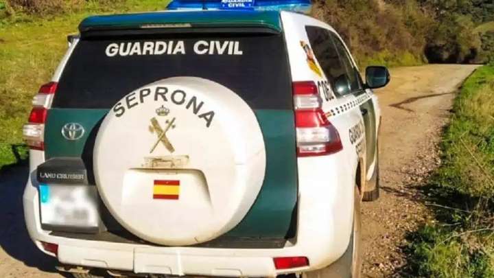 Investigan el ataque de un perro potencialmente peligroso a una mujer en Laguna de Duero (Valladolid) que le causó lesiones