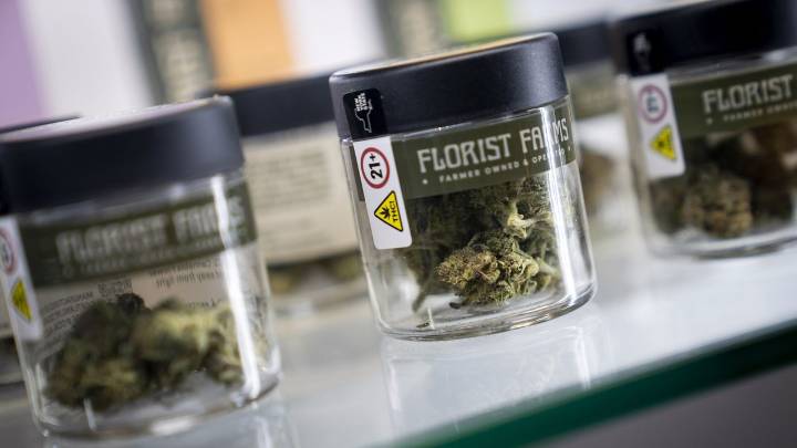 Legal pot store owners in jeopardy over state's mistake