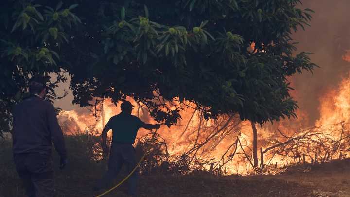 21 incendios de nivel 2 mantienen en vilo a una España arrasada por las llamas, con casi 34.000 desalojados