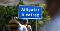 Trump admin. moving detainees out of "Alligator Alcatraz" after judge orders facility operations to wind down
