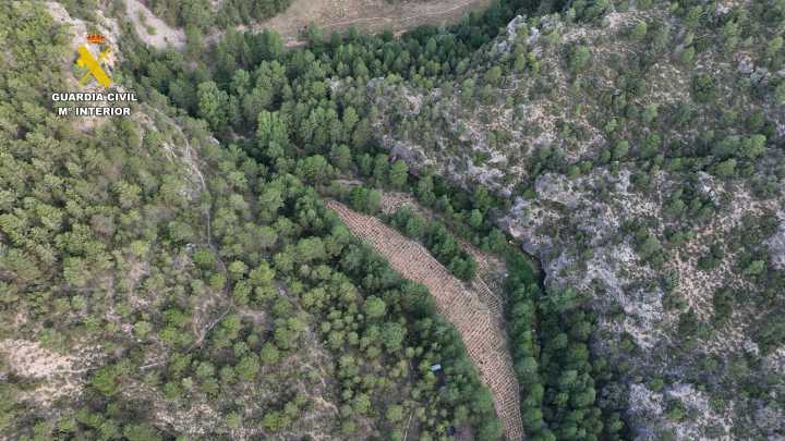 La Guardia Civil de Teruel arresta a dos individuos en la provincia y desmantela tres plantaciones de marihuana