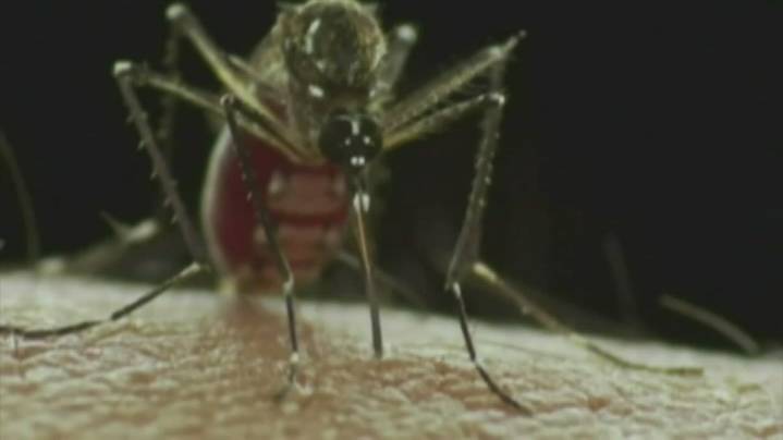 Knoxville Health Department to spray for West Nile mosquitoes Aug. 14