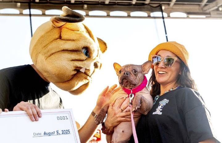 ‘World’s Ugliest Dog,’ crowned at Sonoma County Fair, hails from Oregon