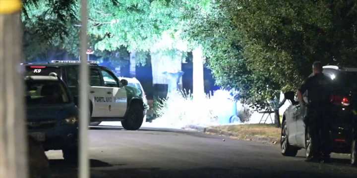 Police: Man fires gun inside N Portland home, breaks things, climbs onto neighbor’s roof