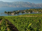 Going to B.C.'s wine country? Here are some wineries you should visit
