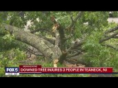 Large tree falls onto Tesla in Teaneck, NJ, injuring 3