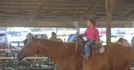 Pee Wee Rodeo introduces young riders to fair events