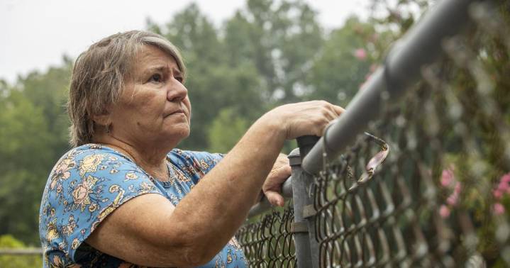 Solar project by IKEA parent impacts native SC history