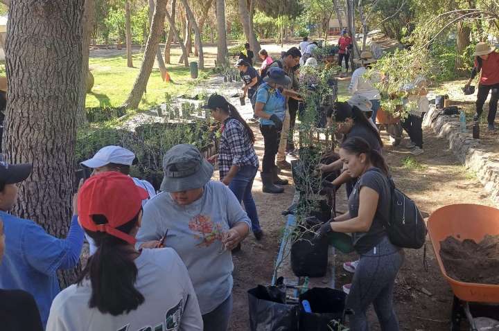 Infractores cumplen con trabajo comunitario