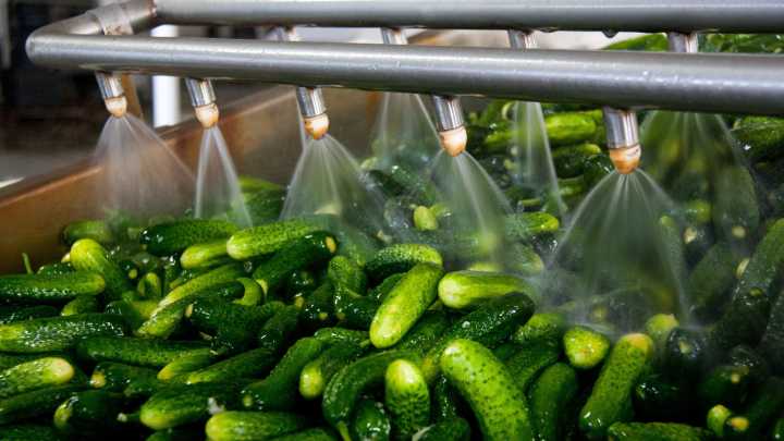 Las exportaciones de frutas y verduras en Andalucía crecen un 11% y superan los 4.555 M€ entre enero y mayo de 2025