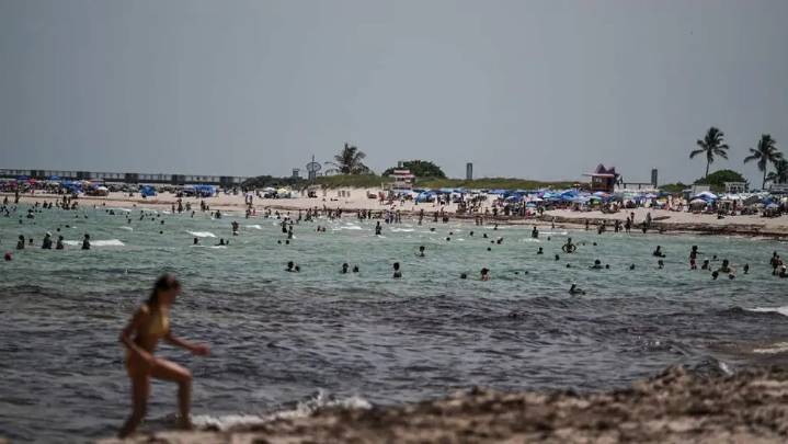Alerta por presencia de bacteria carnívora en aguas de Estados Unidos