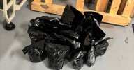 Nearly 104 pounds of DMT intended for Harford County seized by CBP officers