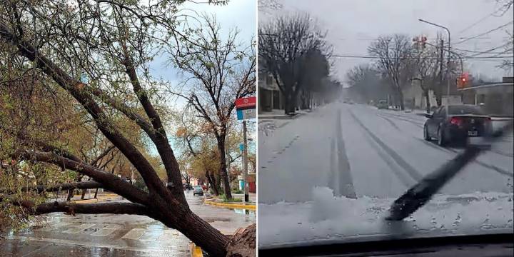 La tormenta de Santa Rosa golpeó fuerte en Mendoza y también afectó a provincias del norte y Cuyo: evacuados, granizo y árboles caídos