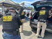 Nearly 300 firearms collected at East County gun safety event