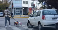 En Neuquén quieren que las fotomultas de los celulares se usen también para las veredas con obstáculos