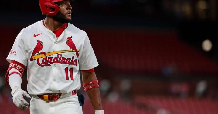 Cardinals’ Scott sees ‘growth’ in highs, lows of 2nd season