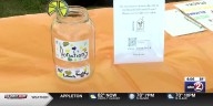 Second annual lemonade market in West De Pere to benefit kids with cancer