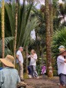 Tropical Gardening: Peru’s grasslands expanding as forests shrink