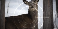 Iowa hunters can expect to see a new deer tag option for disabled veterans this season