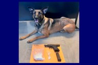 Drugs, ghost gun found during Thruway traffic stop in Plattekill, police say