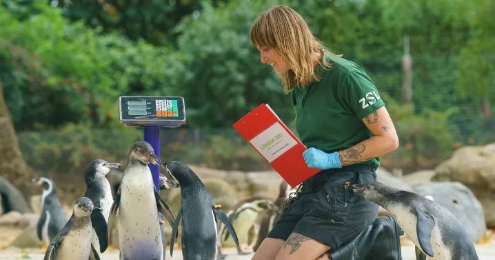 Adorable photos show giant Galapagos tortoise and other animals at London Zoo annual weigh