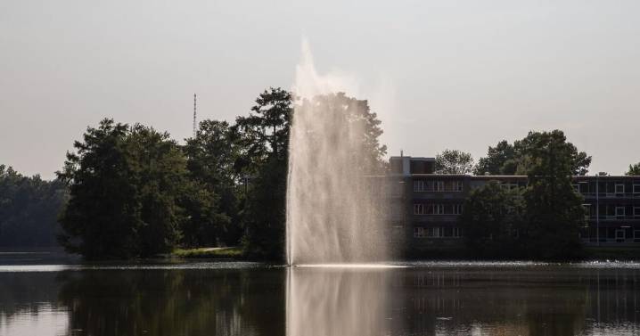 SIU dedicates Campus Lake fountain in memory of 'Tim' Parks