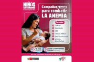 Minsa iniciará el 18 de agosto campaña para prevenir y controlar anemia materno infantil