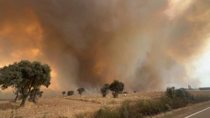Los incendios de Puercas y de Molezuelas, en la provincia de Zamora, se encuentran "prácticamente controlados"