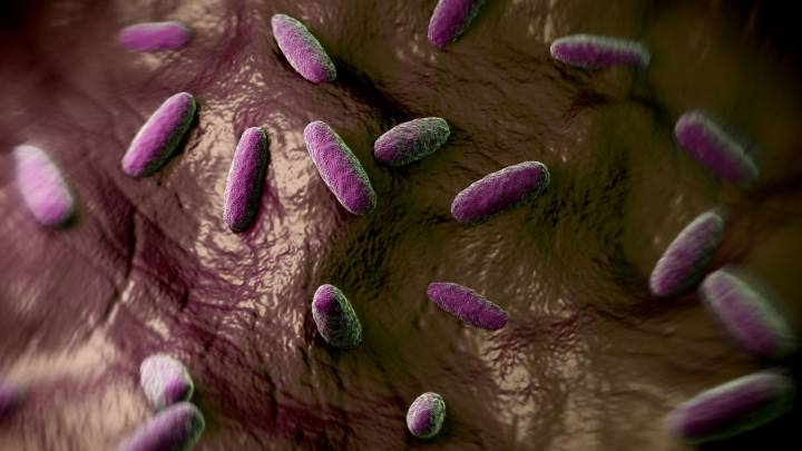Salud cierra restaurante asiático de Palma por brote de salmonela