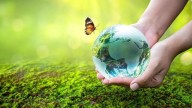 50 consejos para cuidar el planeta