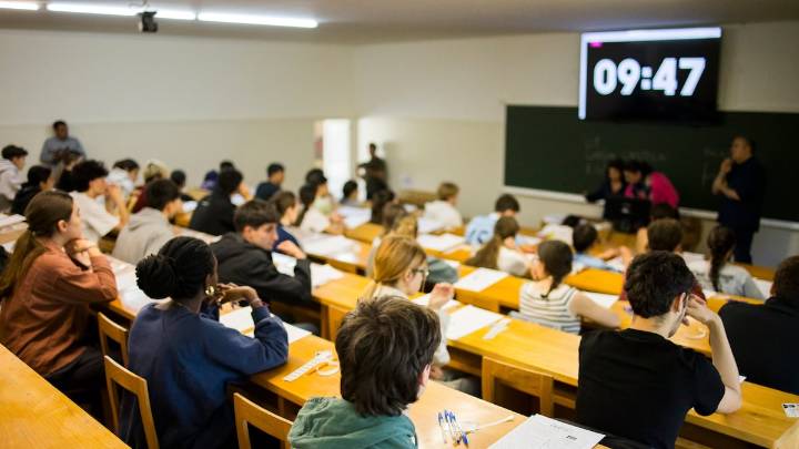 Apenas el 15% de las plazas ofertadas del máster para ejercer de psicólogo sanitario son públicas y el 26% de las de profesor de secundaria