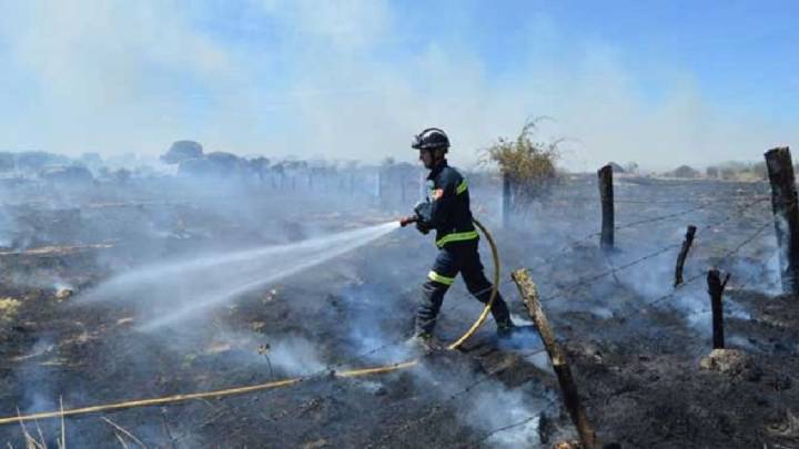 Nuevo incendiario detenido en Castilla y León: provocó varios fuegos de madrugada en Gredos en Ávila