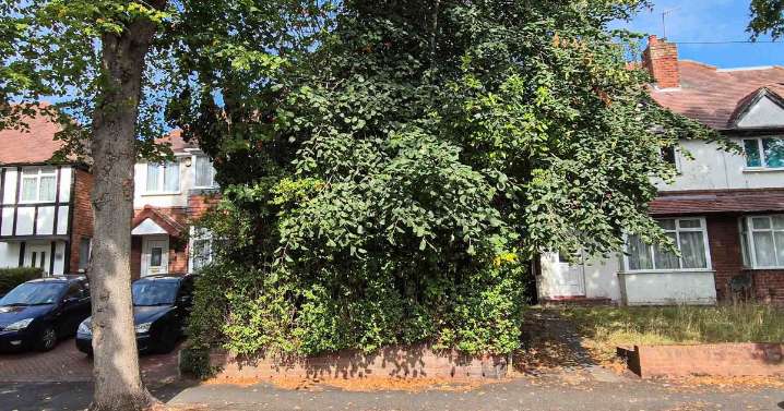 Birmingham house buried in trees for nearly 20 years up for sale