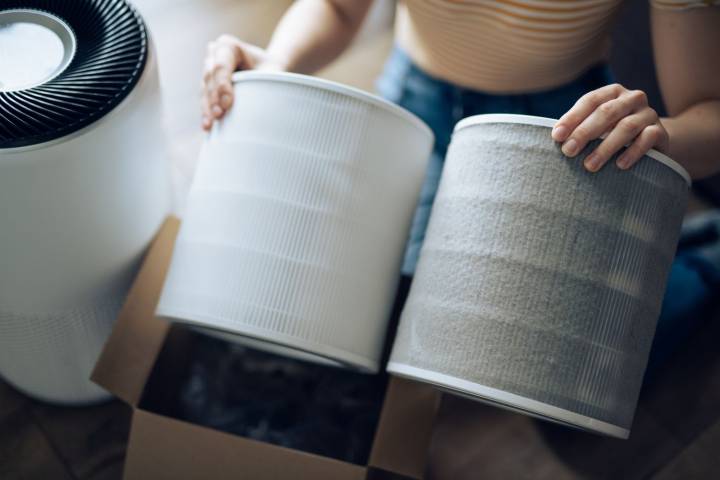 An Air Purifier Could Make a Big Impact on Your Blood Pressure