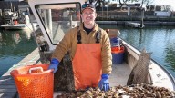 Long Island Oyster Jamboree makes it debut in Suffolk