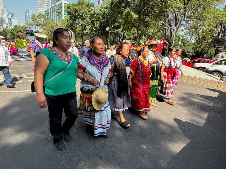 Pueblos indígenas aún enfrentan desafíos significativos: ONU
