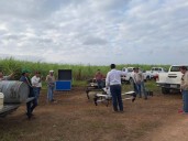 Reforzarán control de saltones adultas