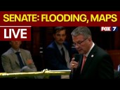 Texas Senate Special Session legislation