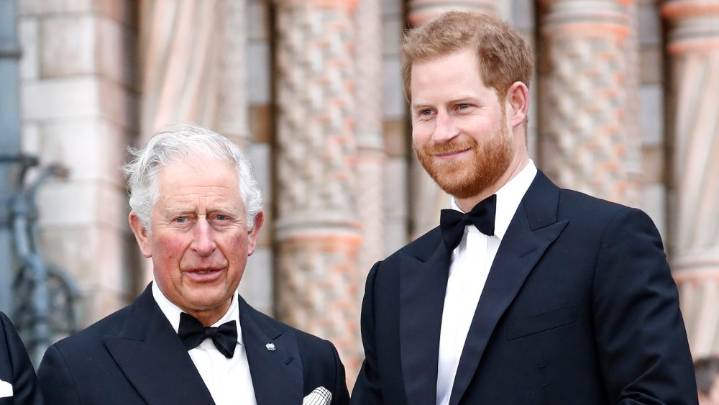 Expert Pinpoints the Moment Charles and Harry Reunion Became Less Likely 