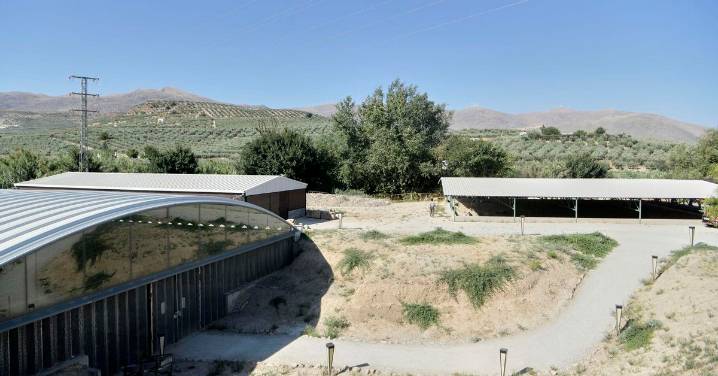 La décima campaña de excavaciones en la Villa Romana de Salar se cancela por retrasos en el proyecto de adecuación de la zona